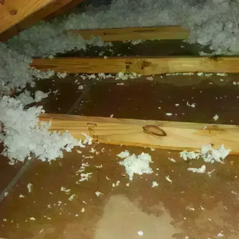 Attic Water Damage in Logan County, AR