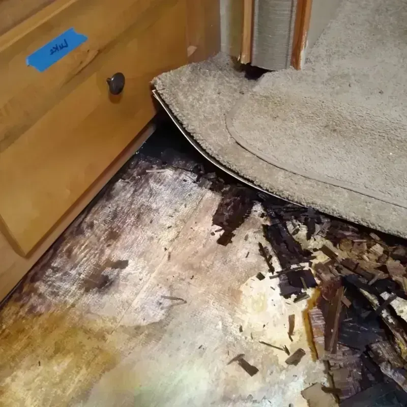 Wood Floor Water Damage in Logan County, AR